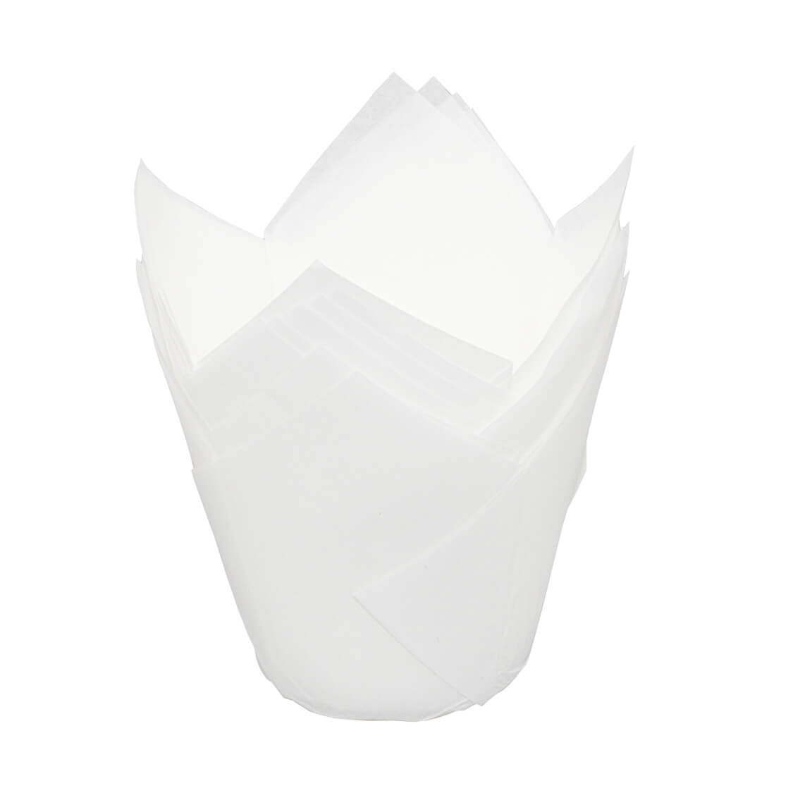 Форма бумажная TULIP White 50*80 мм